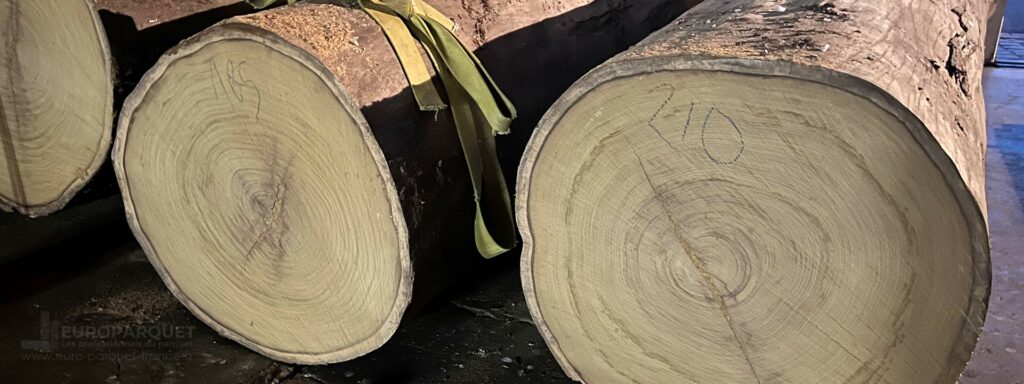 europarquet - type de bois-paris-colombes